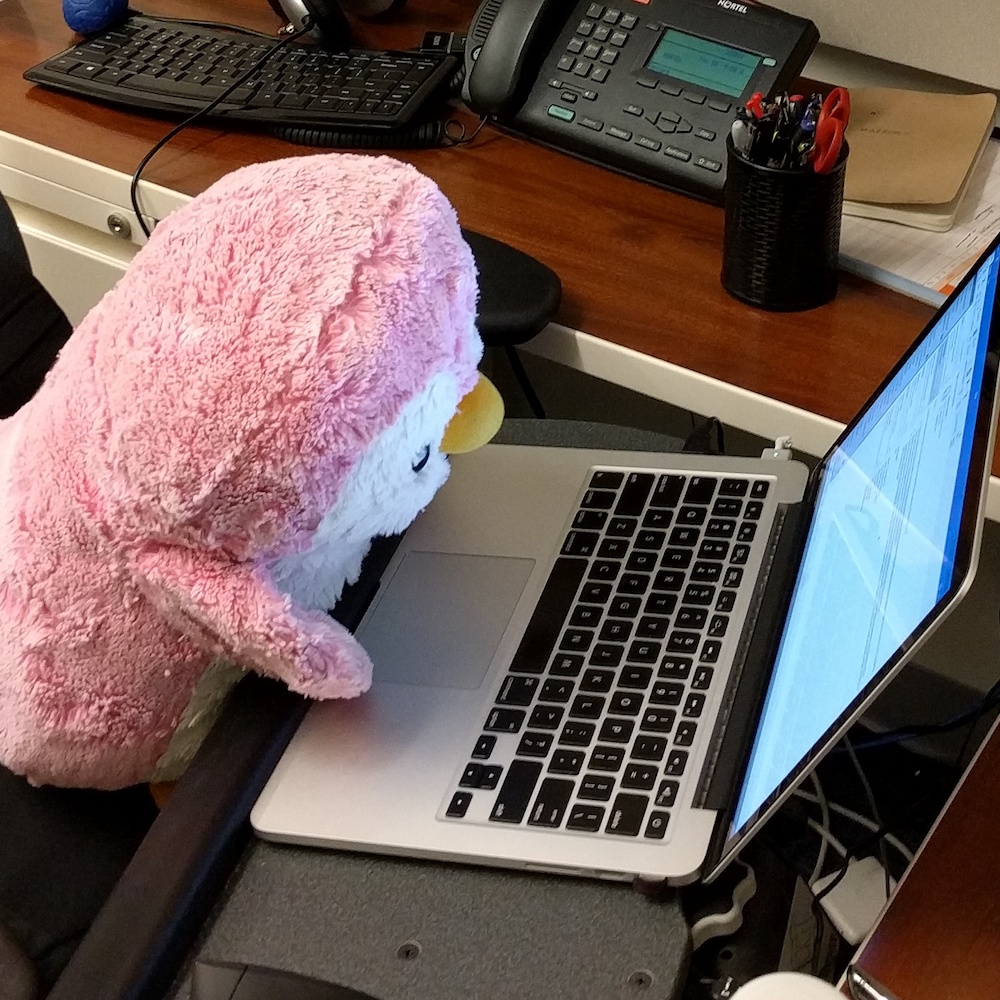 A pink stuffed penguin hunched over a laptop, typing